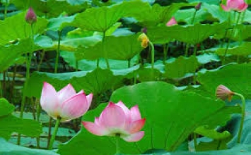 Đừng mong quy luật sẽ không xảy ra với bạn